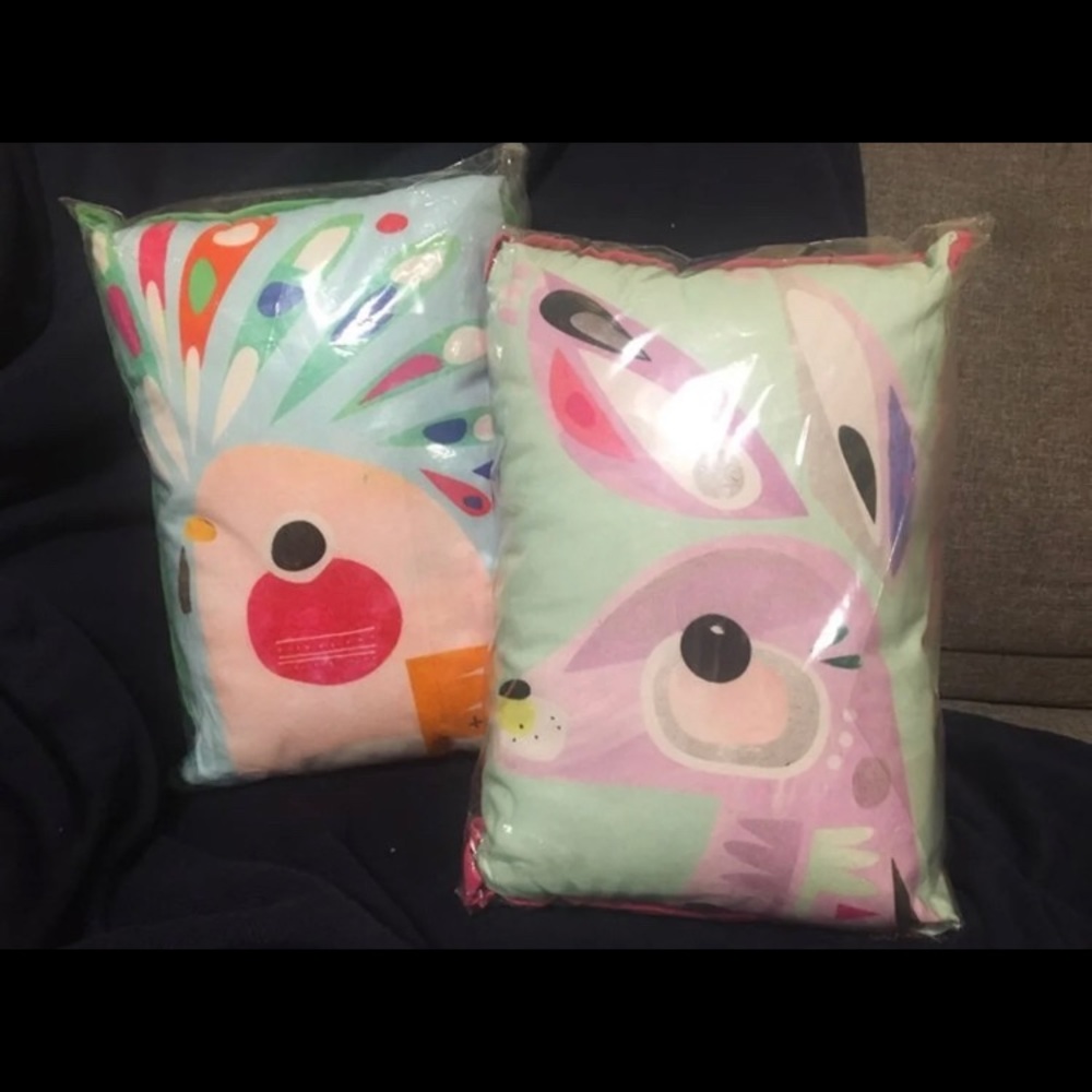 New Anthropologie (Pete Cromer) Pillows
